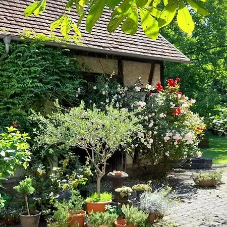 Villaflora Gaestehaus Riedlingen