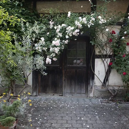 Villaflora Gaestehaus